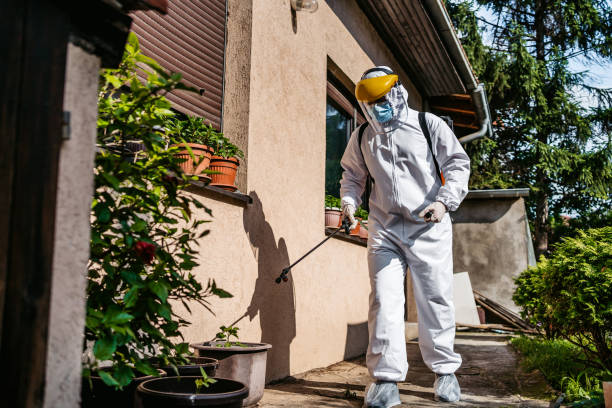 Best Affordable Pest Control Services  in Luther, OK