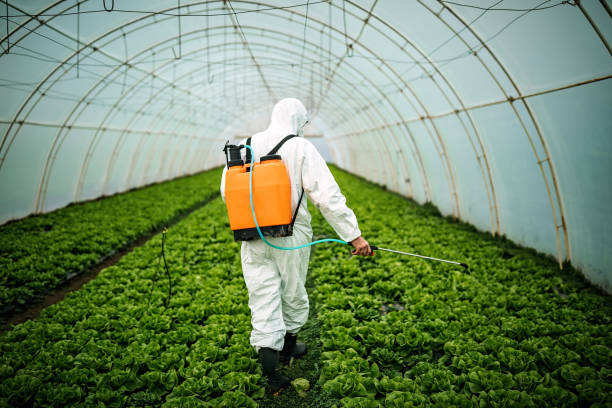 Best Local Pest Control Services  in Luther, OK