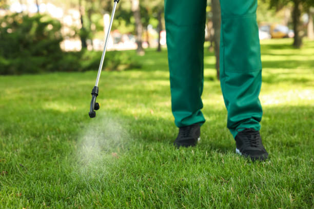 Flea Control Services in Luther, OK