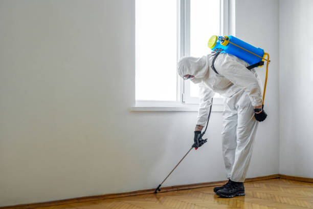 Best Residential Pest Control  in Luther, OK