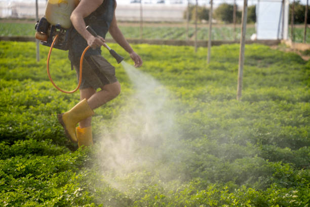Best Exterminator Services  in Luther, OK