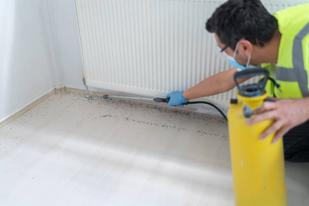 Best Termite Control Services  in Luther, OK