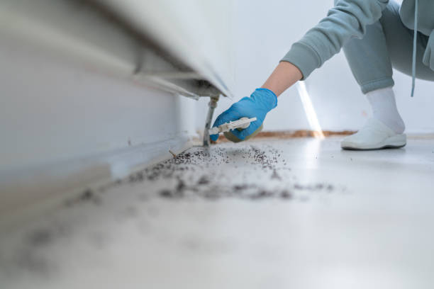 Best Pest Control Treatment  in Luther, OK